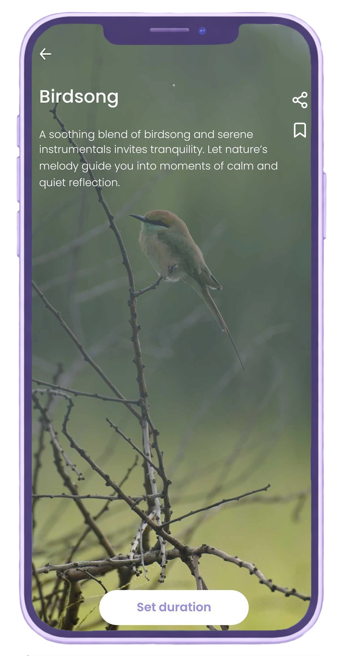 Begin app Birdsong self-guided meditation