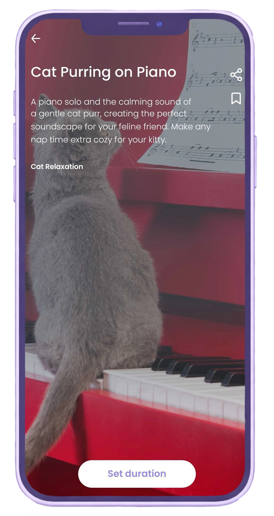 Begin Cat Purring on Piano session