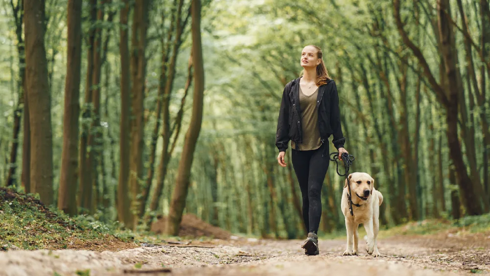 Mindful Dog Walking: Transform Your Daily Strolls