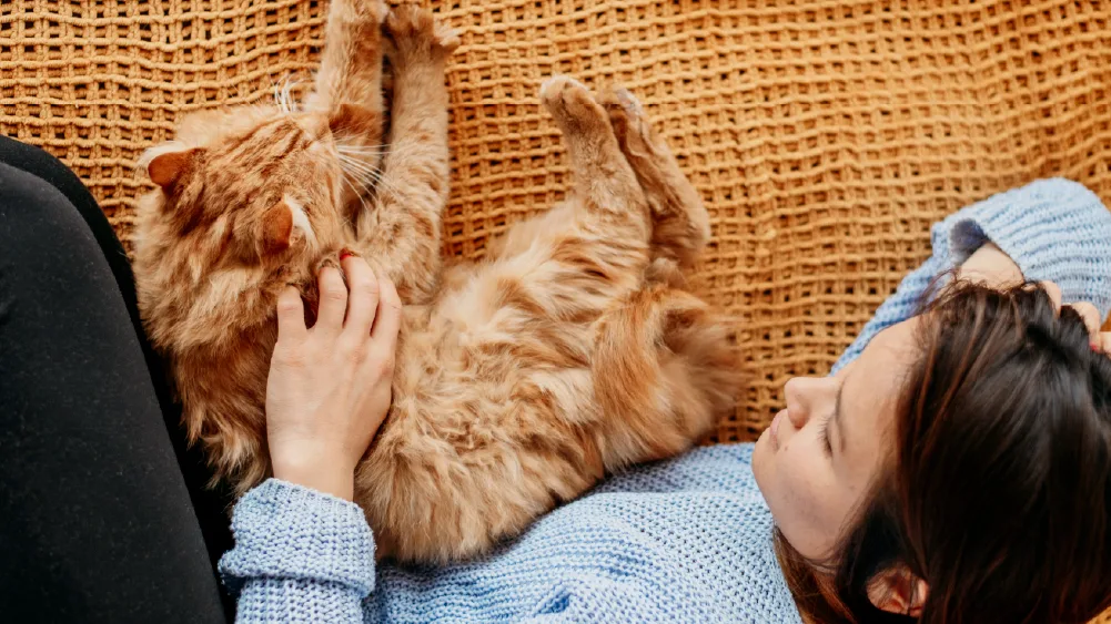 Meditating With Your Cat: A Calmer Way to Unwind
