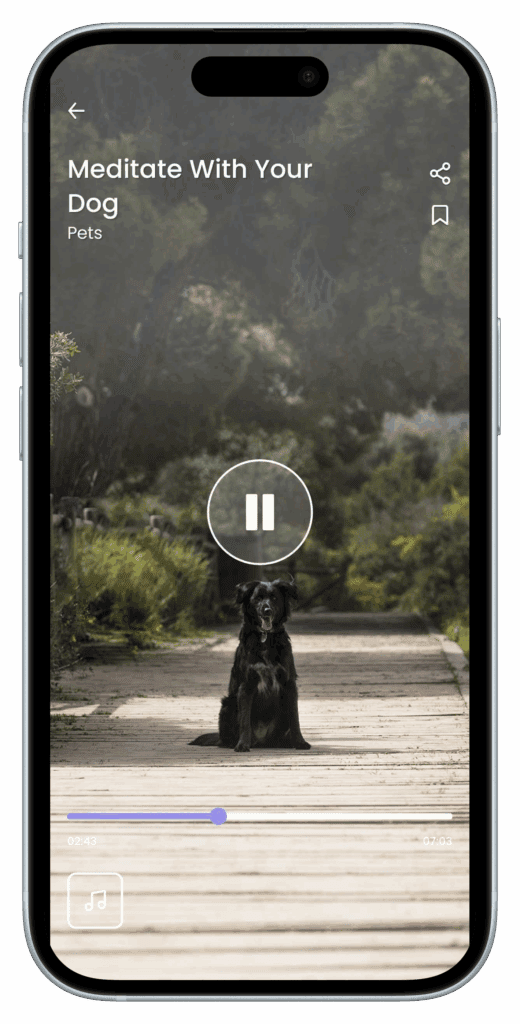 Begin app showing pet relaxation playlists and soundscapes Title